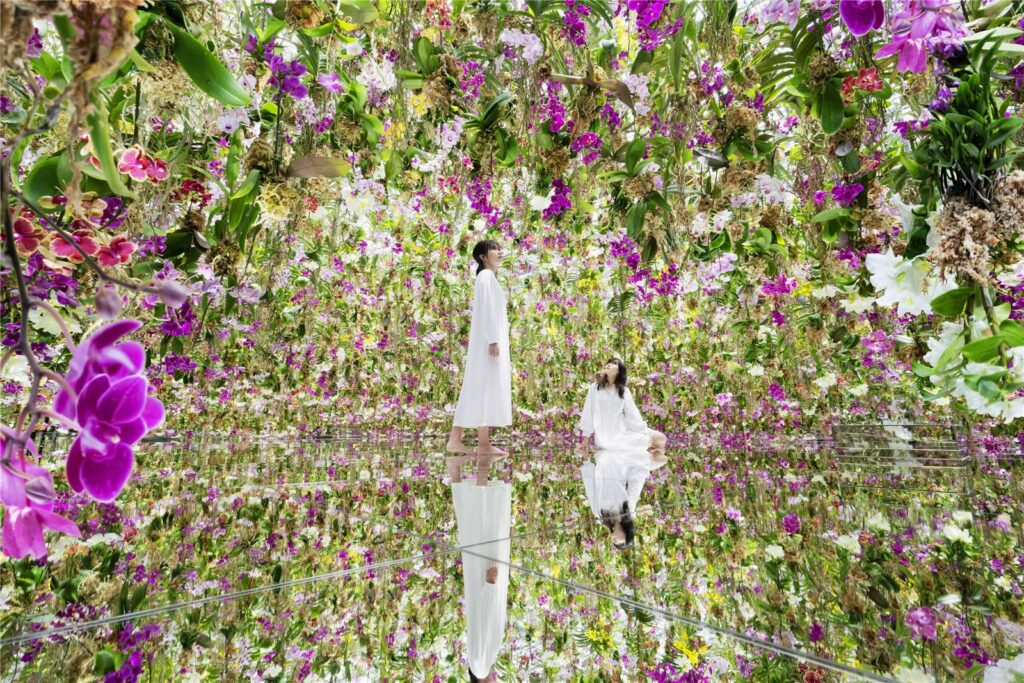 teamLab Planets TOKYO, Toyosu