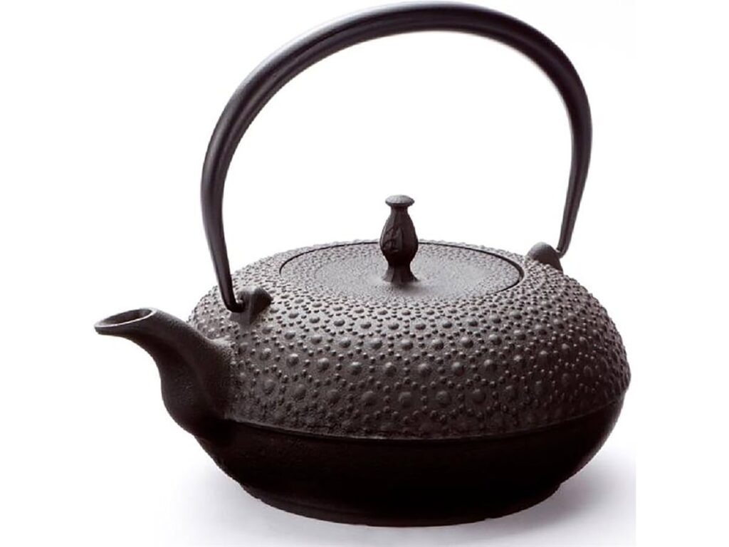Oigen Nambu Tekki cast iron kettle